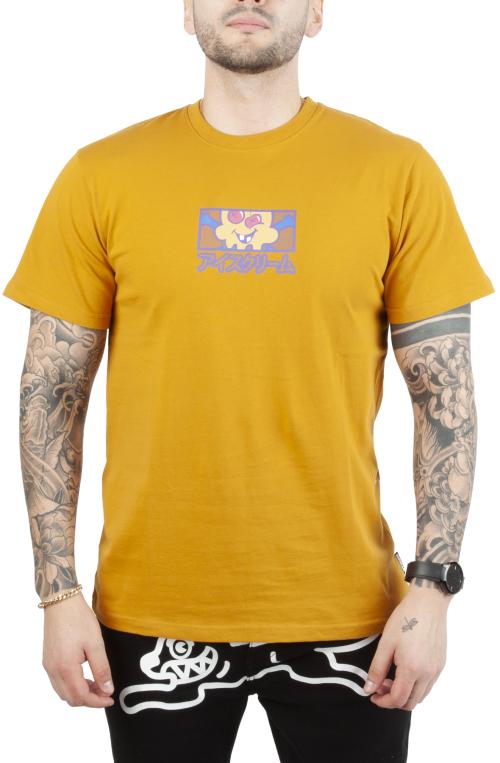 Crop Short Sleeve Tee