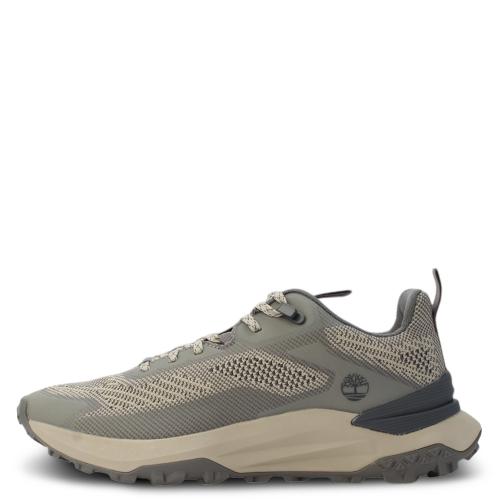 Motion Access Low Sneaker