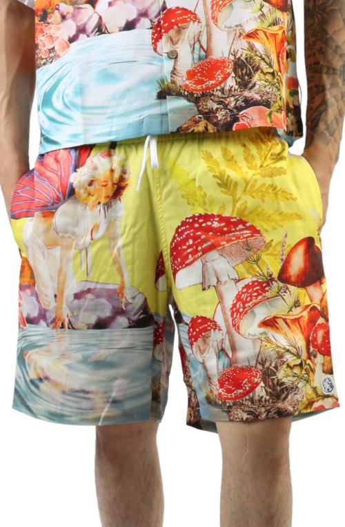Look Beyond Short