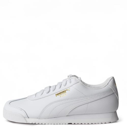 Roma 24 Standard